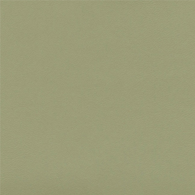 Cadet-Colours-Zest-Moss-204-vinyl-fabric